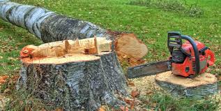 Best Firewood Processing and Delivery  in El Segundo, CA